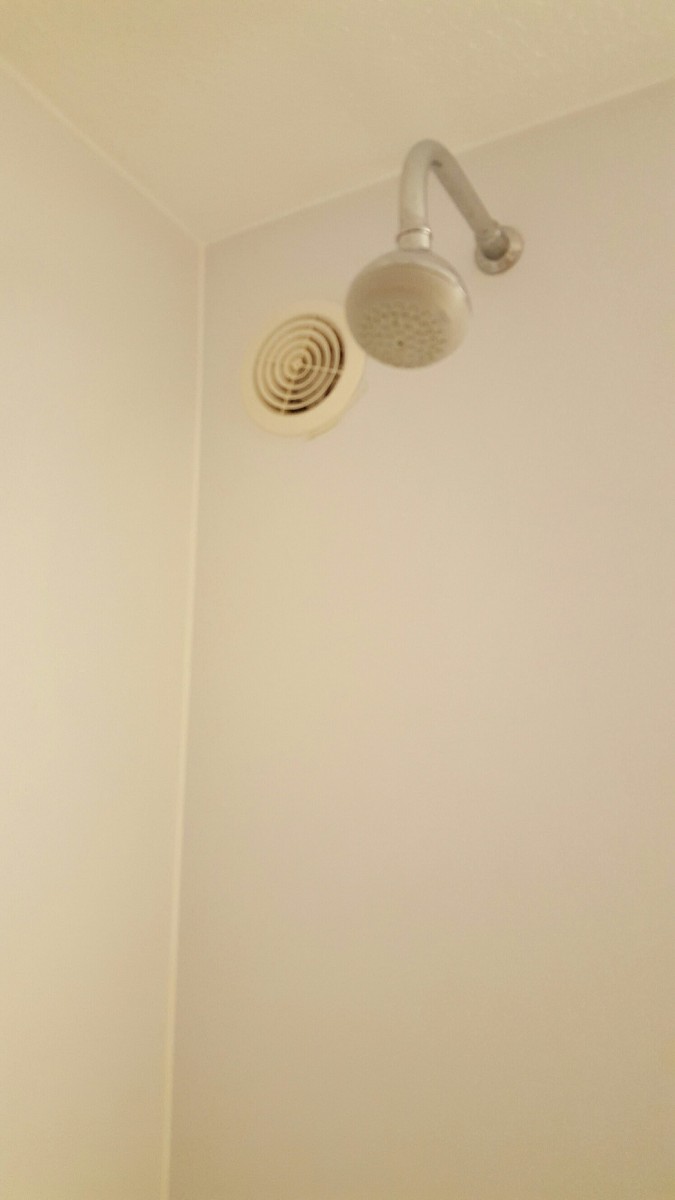 austin conine add Hidden Shower Camera photo