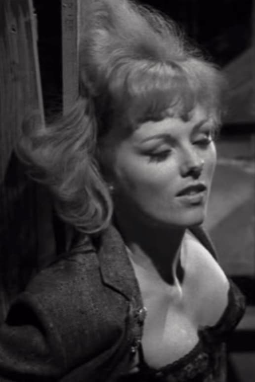 diane schutt add Mary Mitchell Actress photo