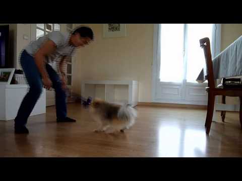carina carter add Happy Tugging Video photo