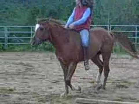 darien christopher walker add Bareback Group photo