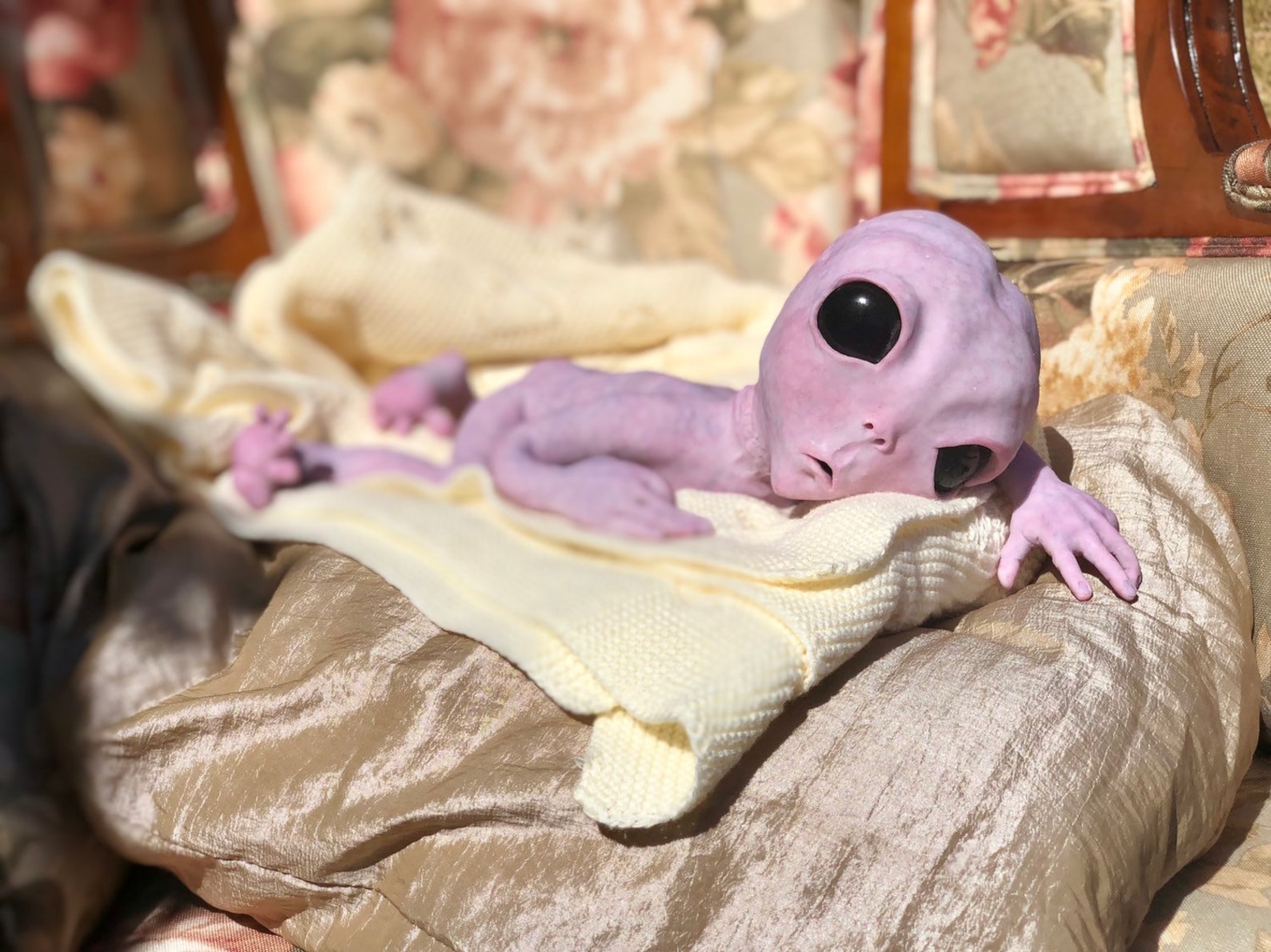 adam geiss add Bany Alien Porn photo