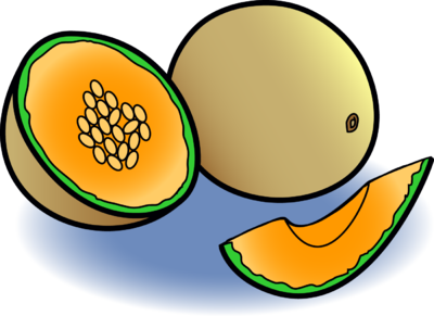 ashley stehlik add Melons Clips photo