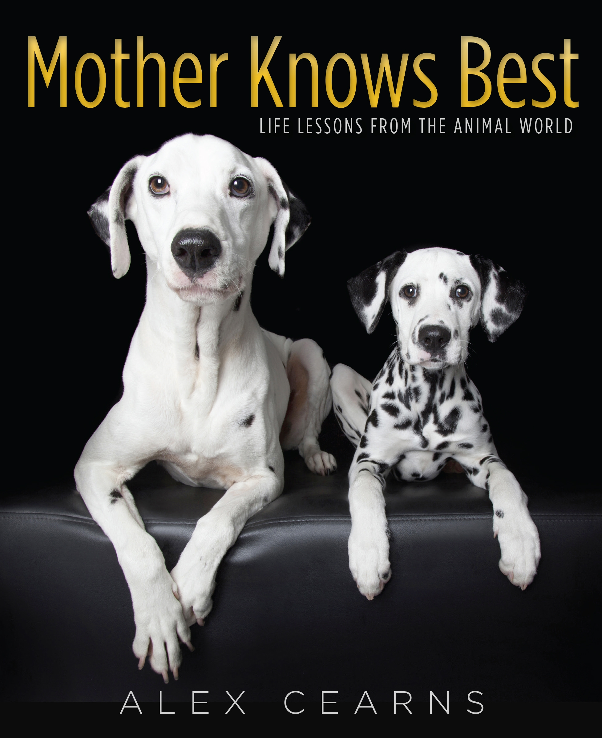 carole cheng add Mother Knows Best Lilly Hall photo