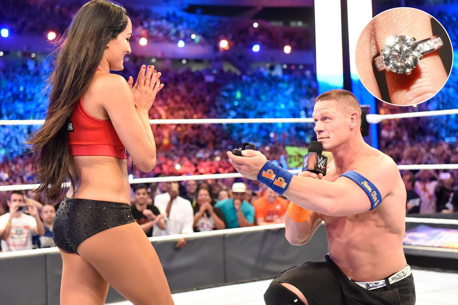 anita indah add Naked Nikki Bella photo