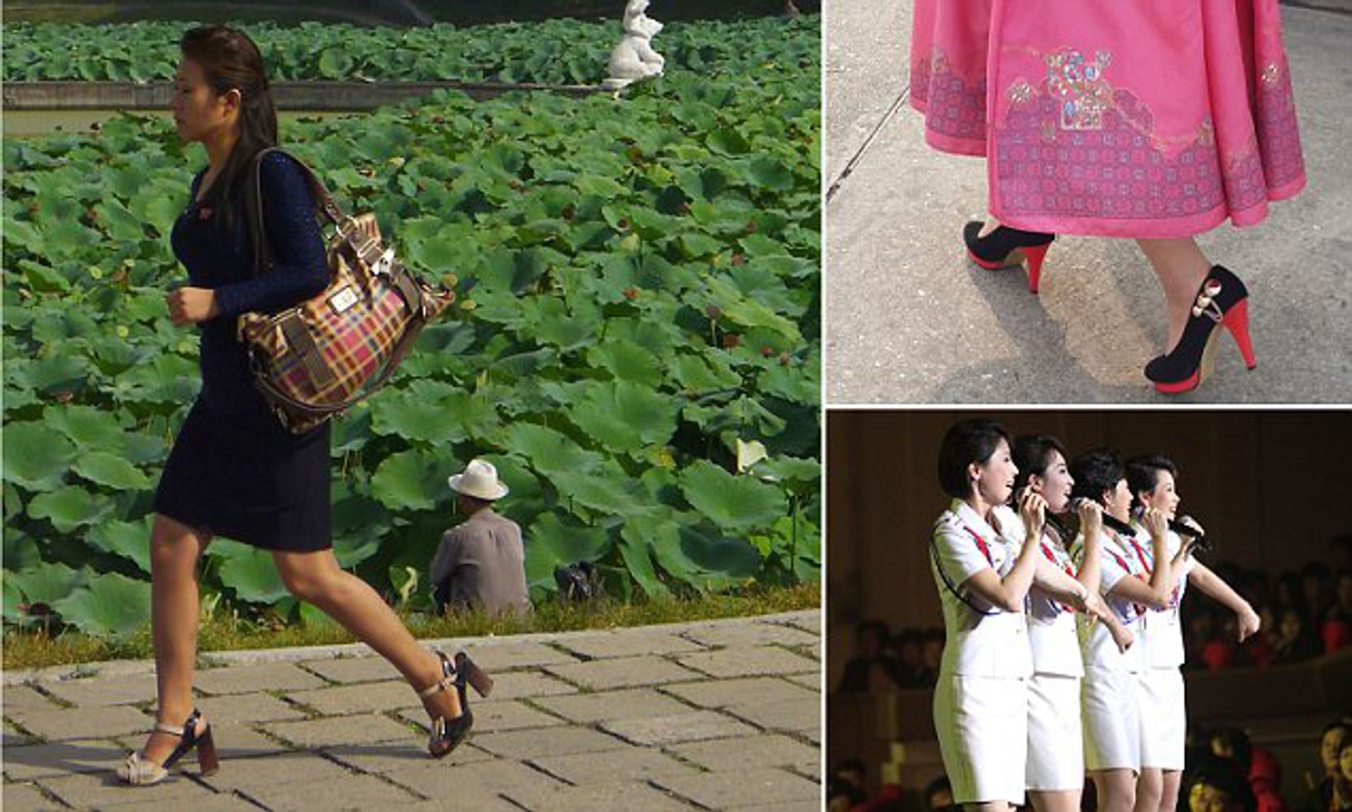 alan carden add Korean Upskirt photo