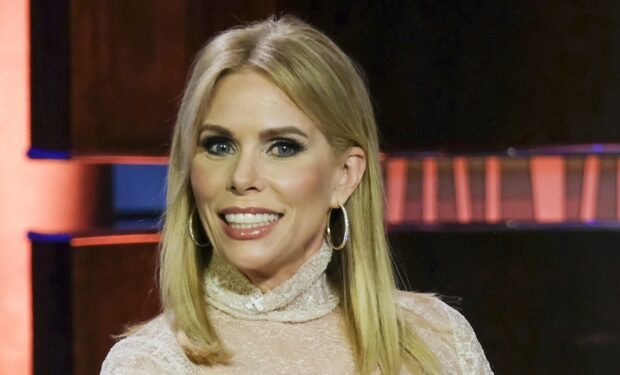 dominic howe add Cheryl Hines Bikini photo