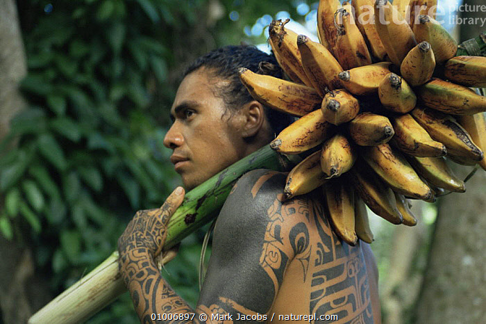 china janse van vuuren add Banana Nomads photo