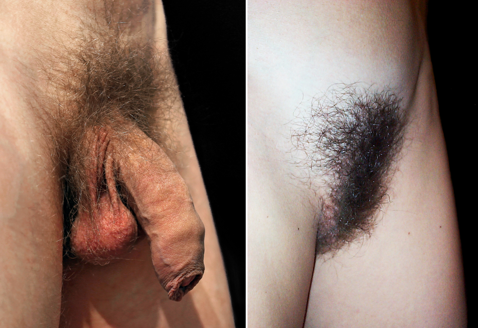 carlos begay add Hairy Bush Nude photo