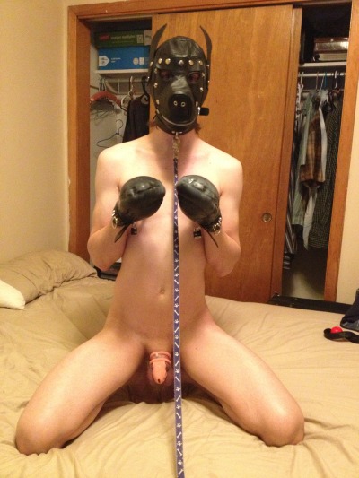 ben wambold add Puppy Girl Bondage photo