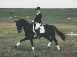 amy prewett add Ride Mandingo photo