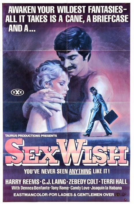 X Rated Pornographic Movies 19614