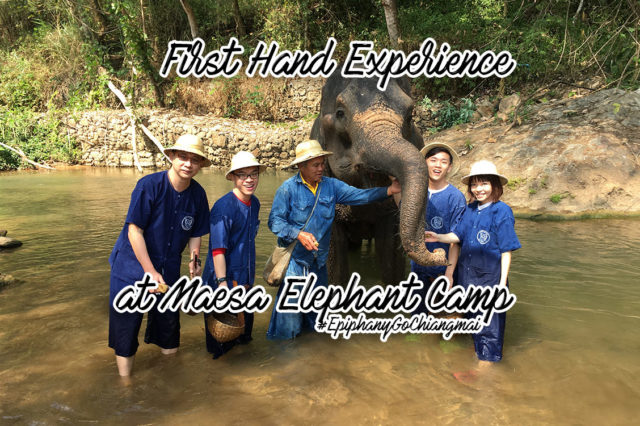 david meagher add Bareback In Thailand photo