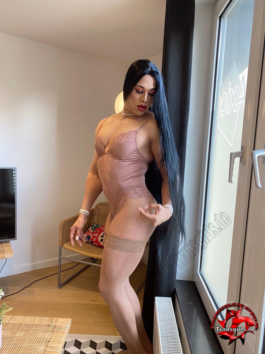 al drn add Ts Stefani photo
