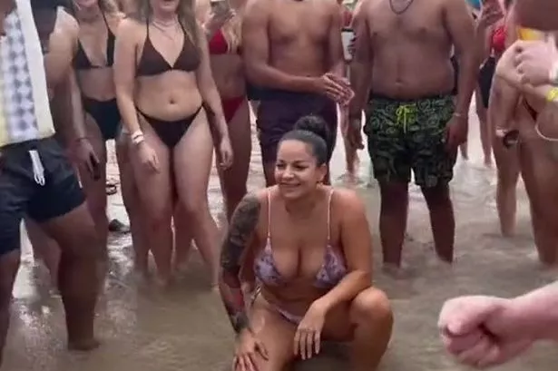 debbie diemer price add Bouncing Tits In Bikini photo