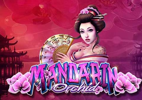 brandon teachout add Amature Korean Porn photo