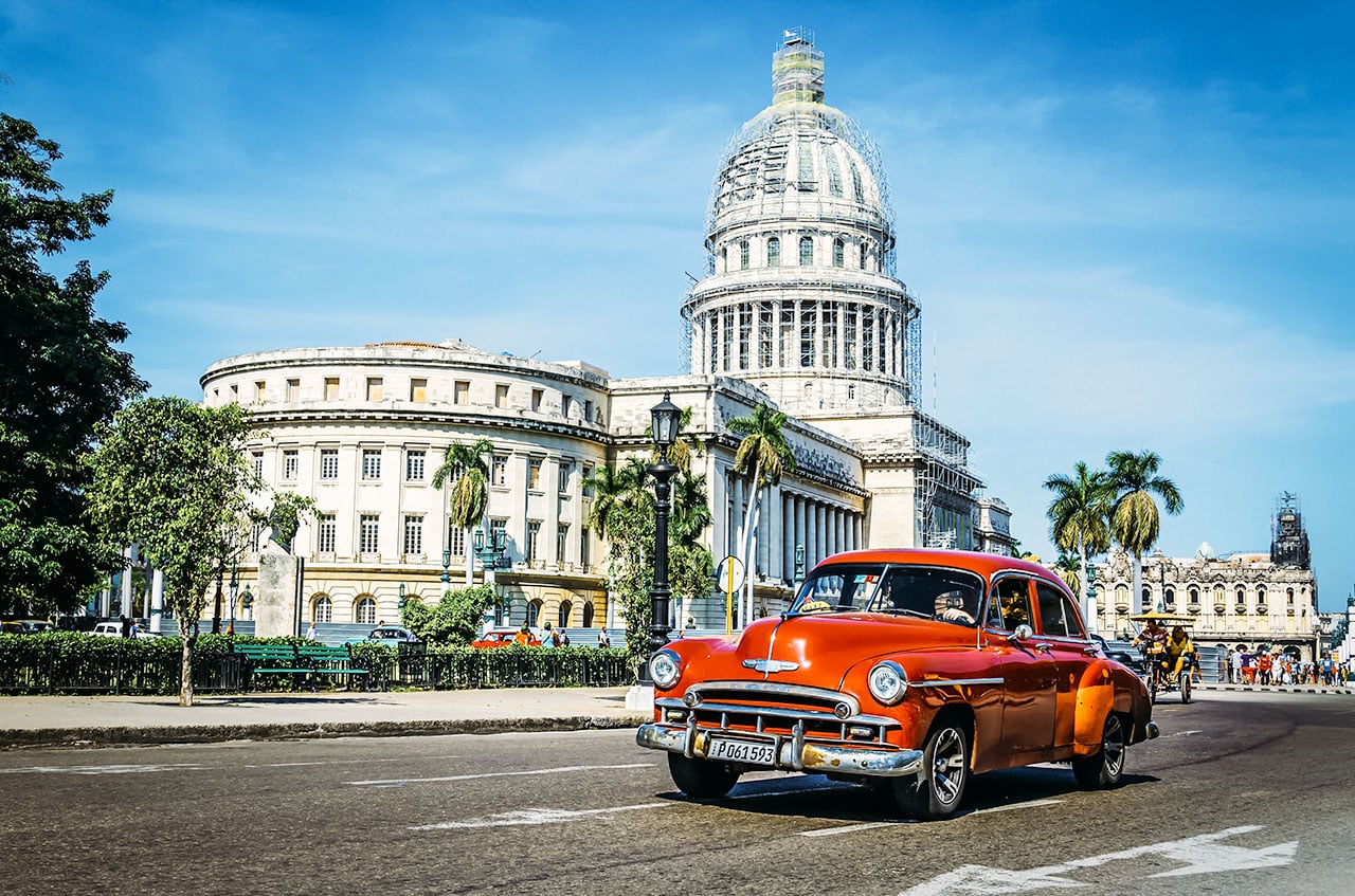 dina kuhn add Havana Ginget photo