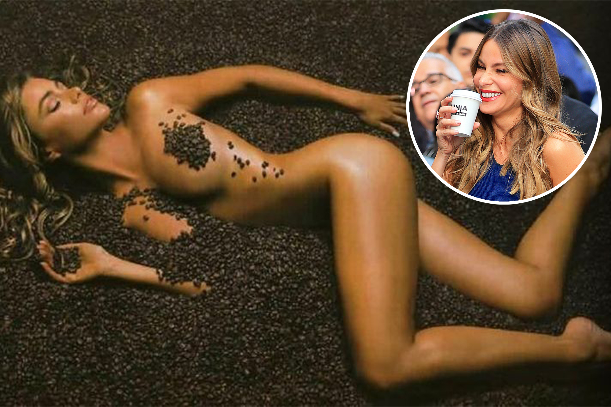 connie chaple add Sofia Vergara Nude Porn photo