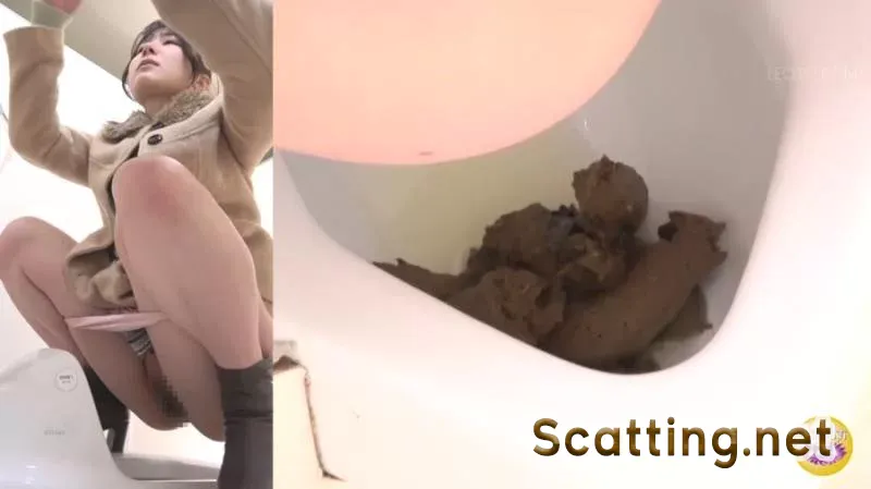 Jav Toilet 18742