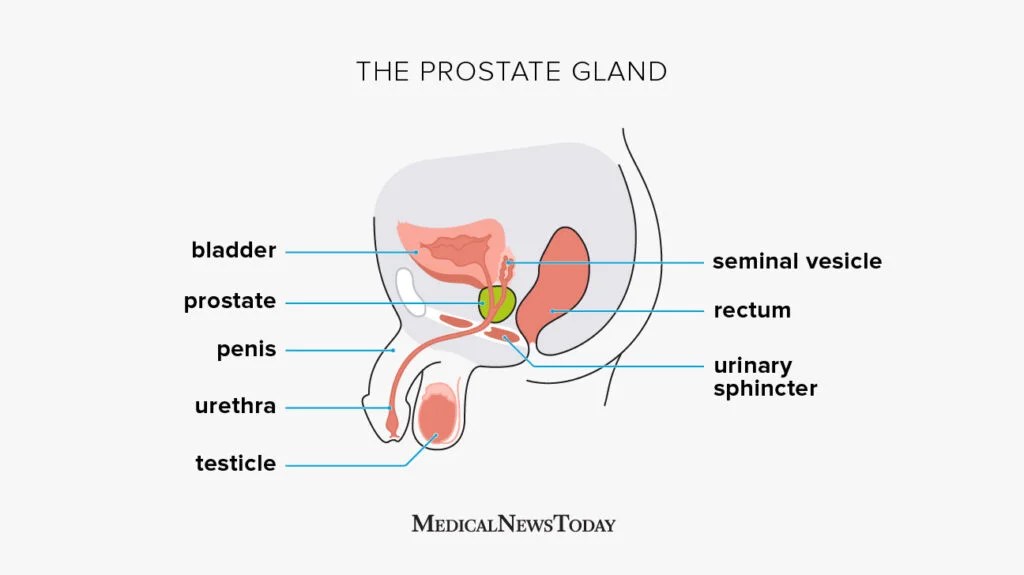 daniel lindvall add Cum During Prostate Exam photo