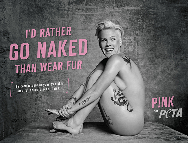 dianna horton add Joss Stone Nude photo