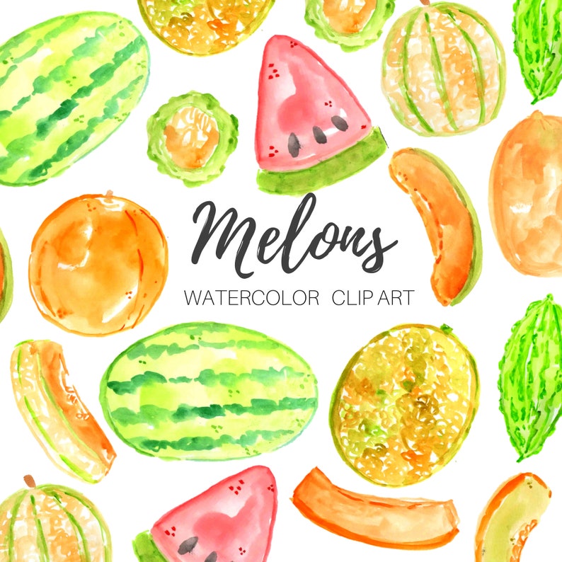 ann ameh add Melons Clips photo