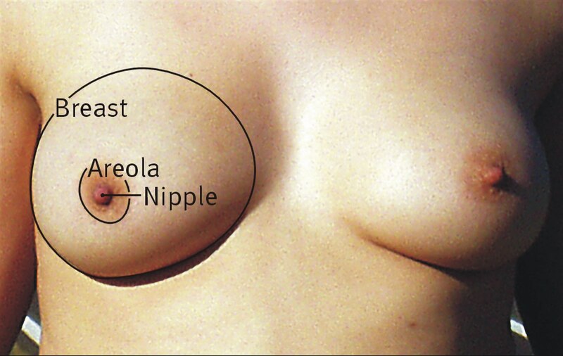david szczepanski add Women Playing With Their Breasts photo