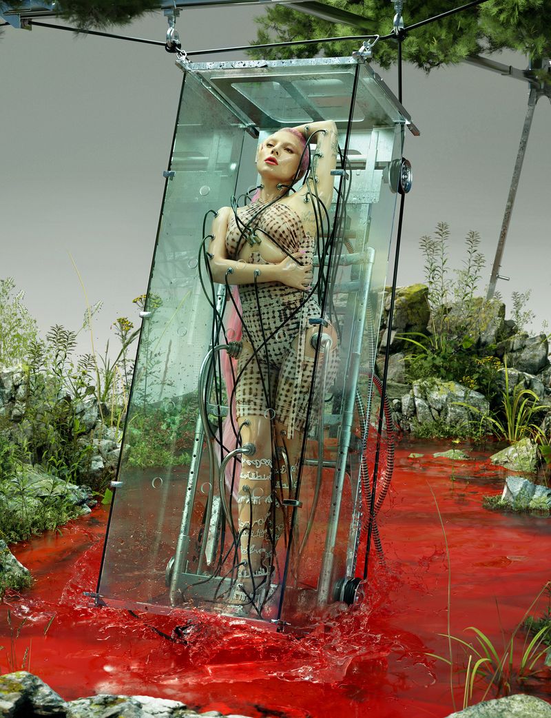 david mys add Gaga Nude photo