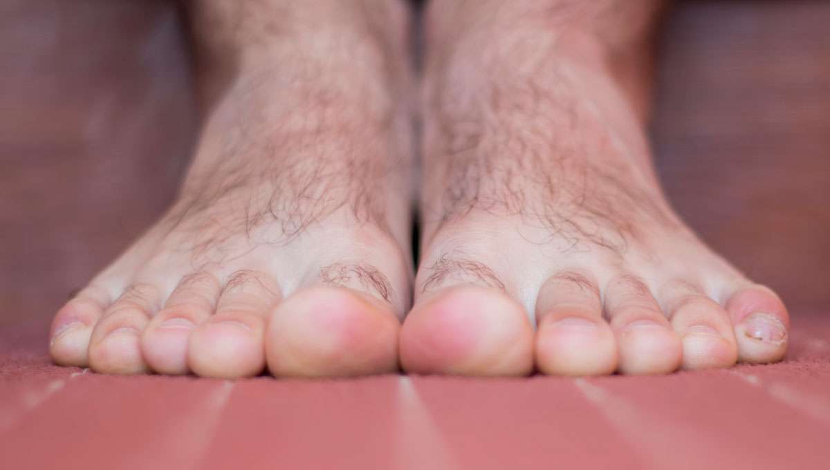 alyssa lamontagne add Hairy Male Feet photo