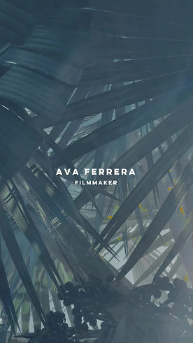 chelsea petosa add Ava Ferrera photo