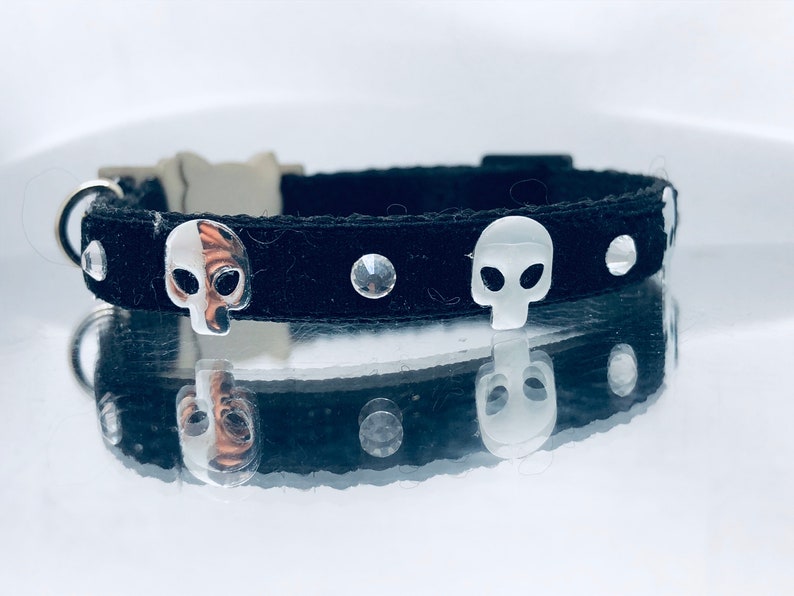 andy goldie add Goth Cat Collar photo