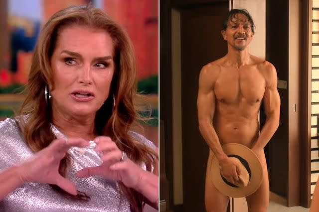 anton jooste add Brooke Shields Nude Photos photo