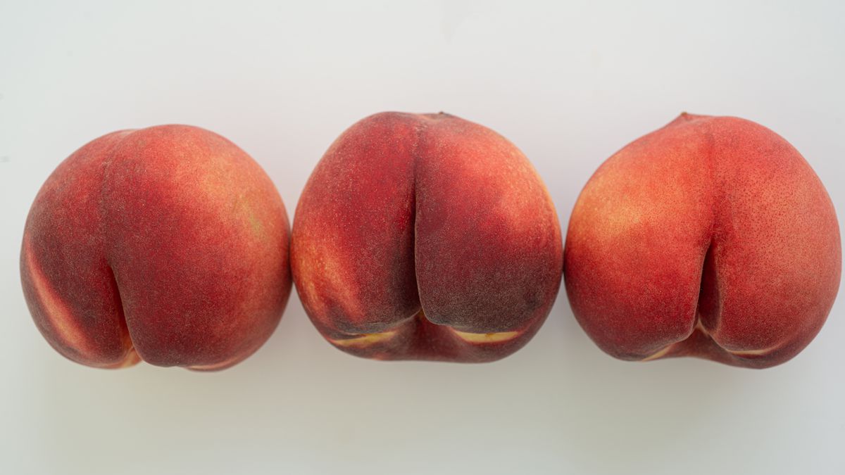 dillon loftus add Porn Sister Ass photo