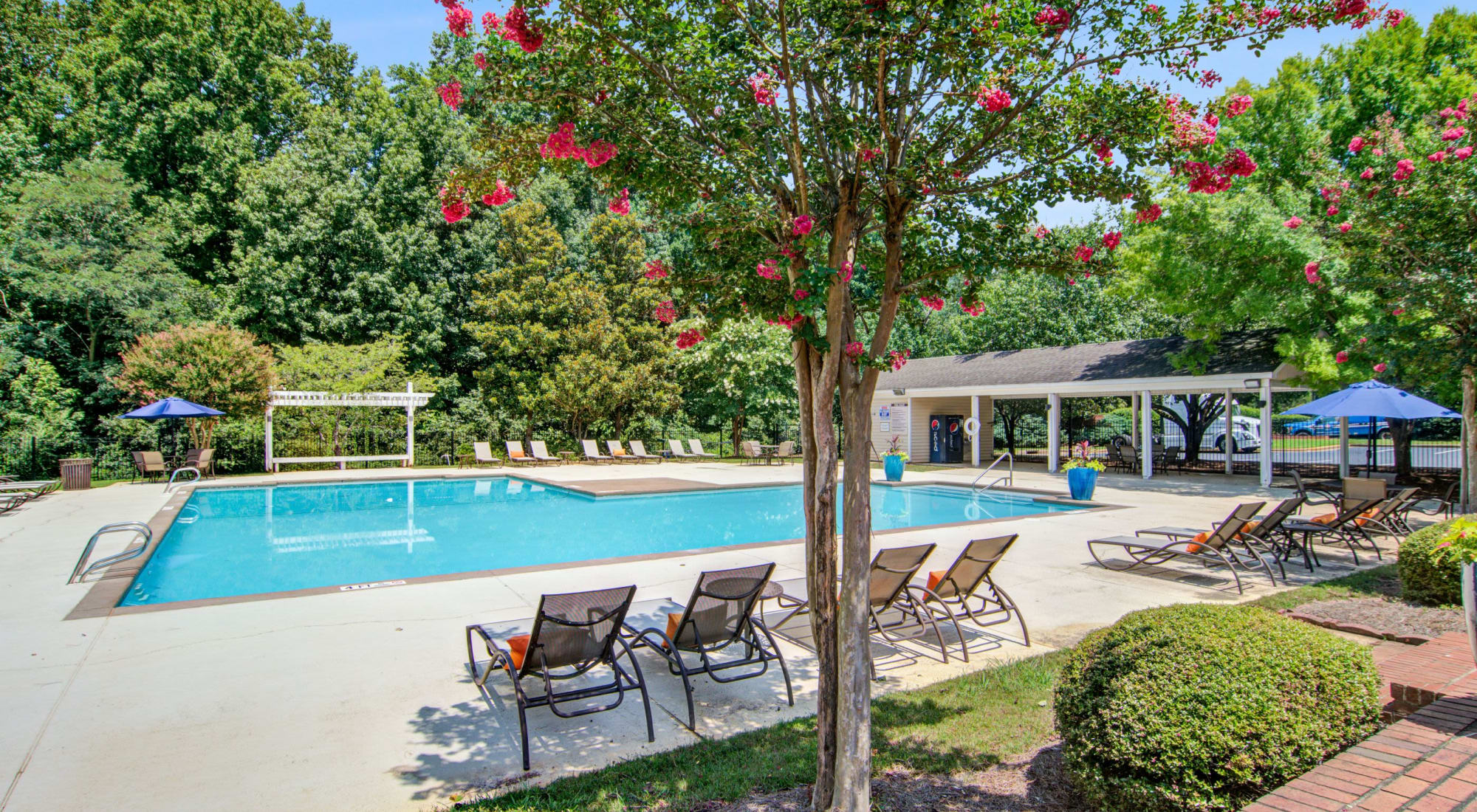 dennis burk add Amber Chase Hotel photo