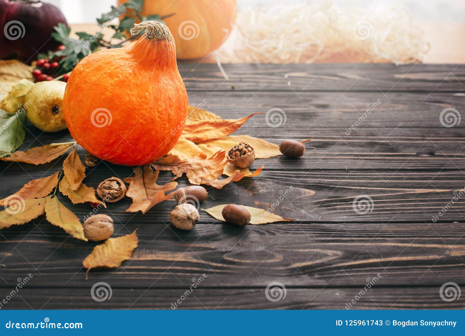 charis de la rosa add Autumn Falls Nu photo