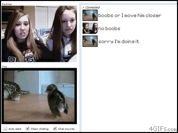 dennis heng add Chatroulette Video Porn photo