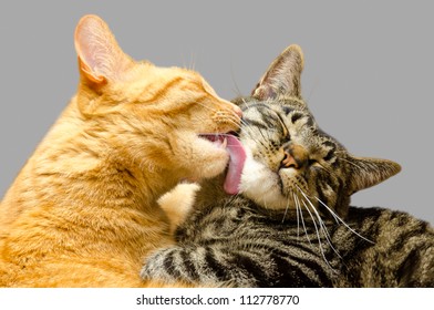 darvis lee add Sleeping Pussy Lick photo