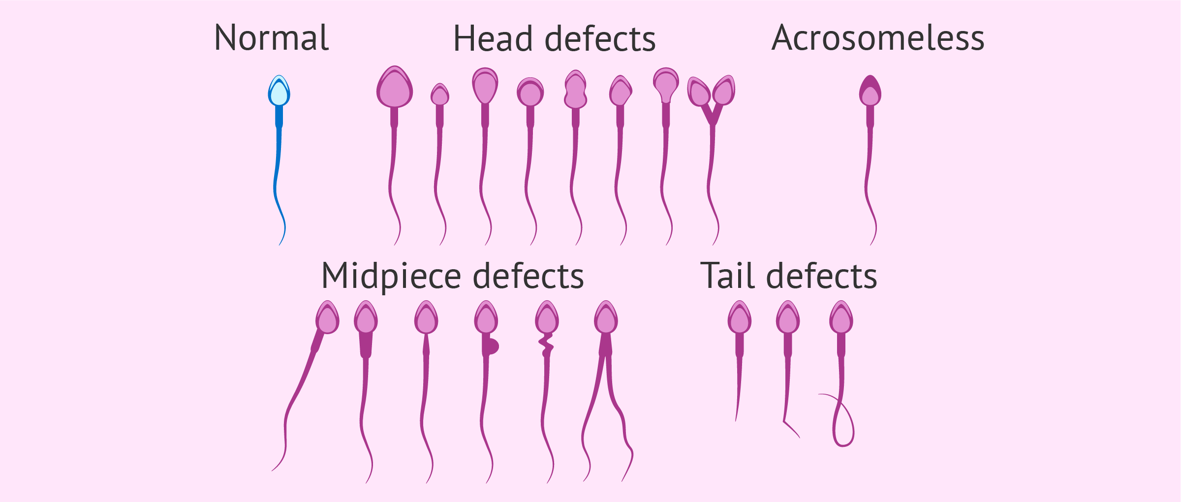 anthony dante add Sperm Of Grandpa photo