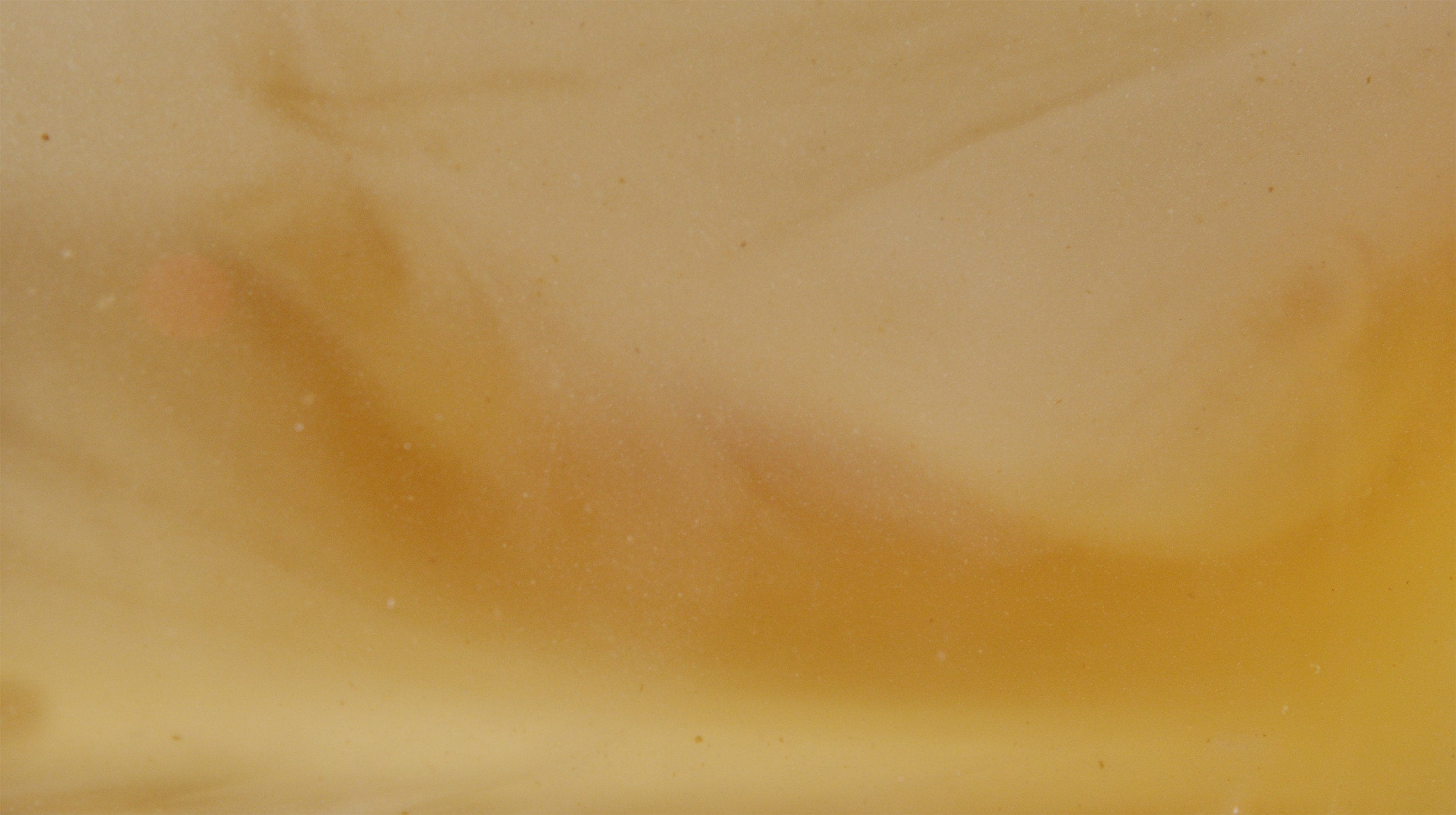 darwin kampa add Honey Driply photo