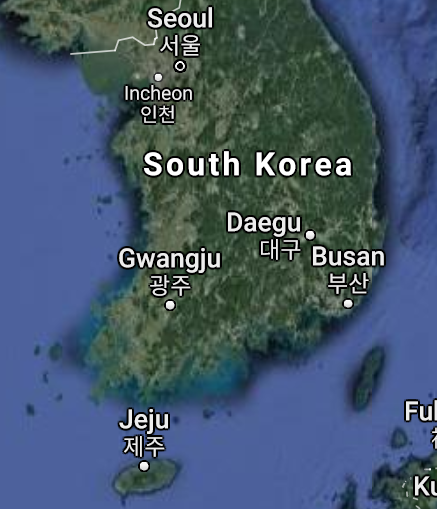 Korean Vaginas 16239