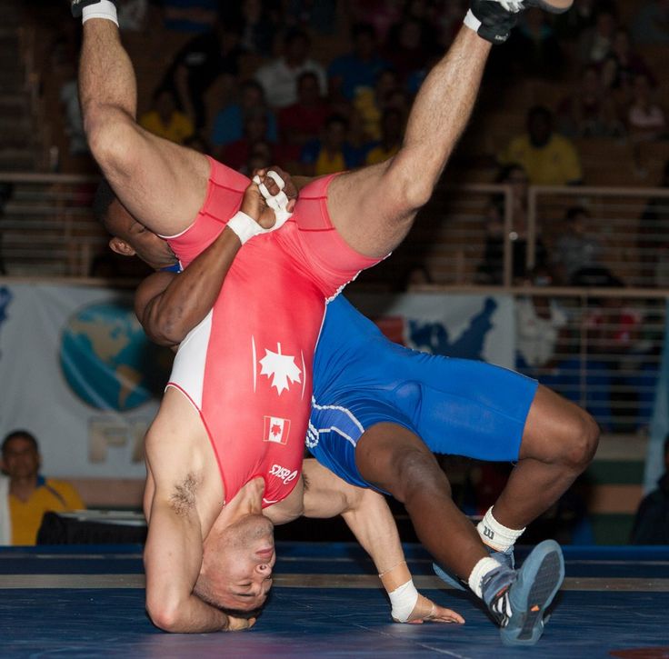 amy jill add Futanaria Wrestling photo
