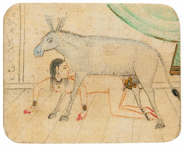 Donkey Sexxx 2976