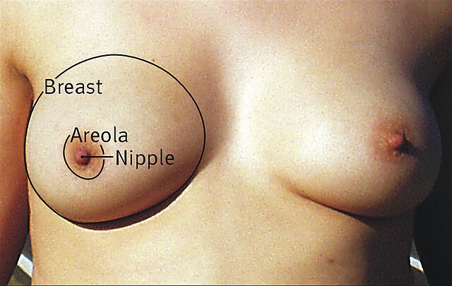catherine nievera add Huge Mexican Titts photo