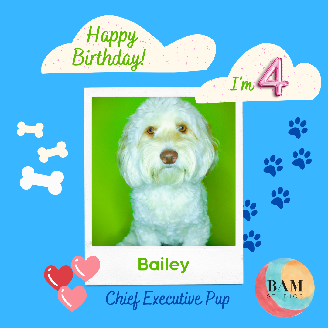 catherine concannon add Bailey Bam photo