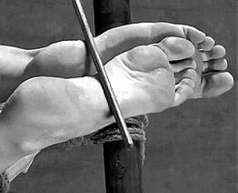 Foot Torture Videos 4584