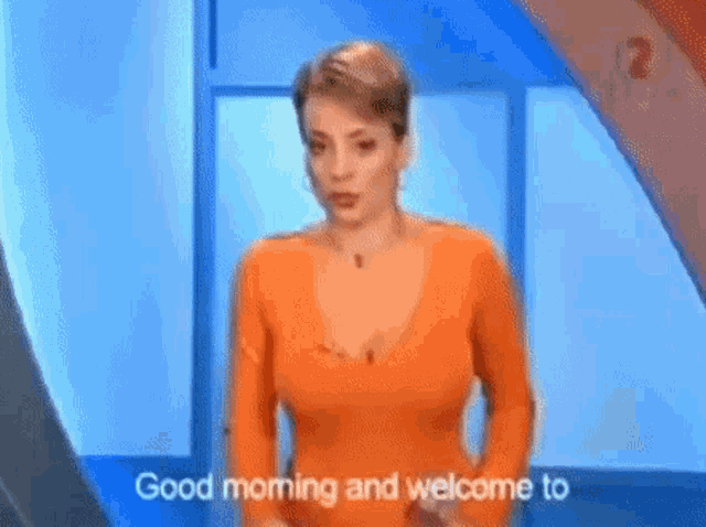 anna melhem add Big Tit Newscasters photo