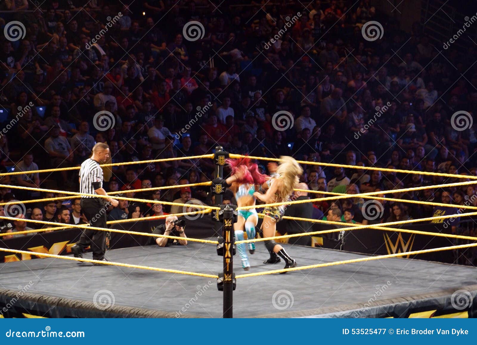 abby fleming add Ring Divas Wrestling photo