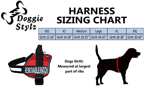 Doggie Stylez 7430