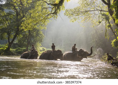 becky henwood add Bareback In Thailand photo