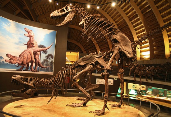 deepan roy add Sex Dino photo