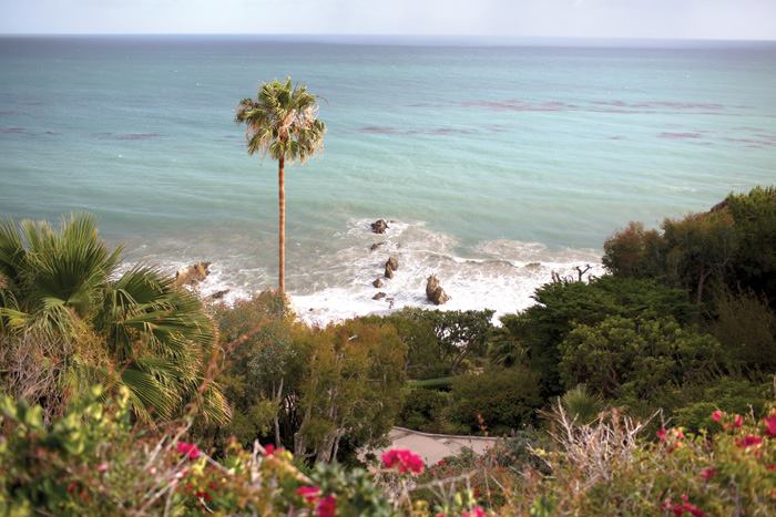 alfred cook add Ebony Beach Nudes photo